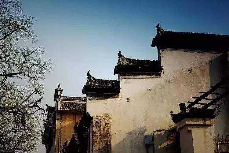 阿涅利:欧超初始成员签了200页的合同没坚持到底,他们是自愿